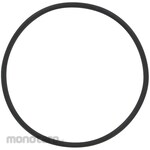 SIBATA SCIENTIFIC TECHNOLOGY O-Ring Perfluoro G-67 Diameter 64
