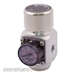 NTG Pressure Regulator