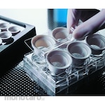 CORNING Netwells Accessories