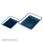 KENIS Anatomical rough set