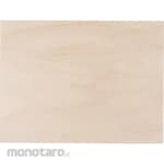 ARTEC Shina Veneer