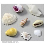 Artec [School teaching materials and educational toys] Mixed shell 10g sachet