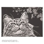 Artec [School teaching materials and educational toys] Scratch board paper without frame