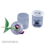 KENIS Observation Cup