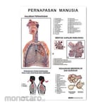 PUDAK SCIENTIFIC Alat Peragaan Carta/Poster Besar