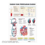 PUDAK SCIENTIFIC Alat Peragaan Carta/Poster Besar