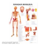 PUDAK SCIENTIFIC Alat Peragaan Carta/Poster Besar