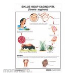 PUDAK SCIENTIFIC Alat Peragaan Carta/Poster Besar