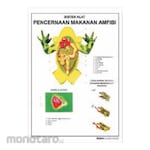 PUDAK SCIENTIFIC Alat Peragaan Carta/Poster Besar