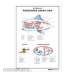 PUDAK SCIENTIFIC Alat Peragaan Carta/Poster Besar