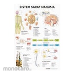 PUDAK SCIENTIFIC Alat Peragaan Carta/Poster Besar
