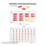 PUDAK SCIENTIFIC Carta/Poster Besar