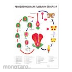 PUDAK SCIENTIFIC Carta/Poster Besar