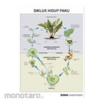 PUDAK SCIENTIFIC Carta/Poster Besar