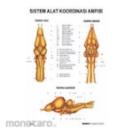 PUDAK SCIENTIFIC Carta/Poster Besar