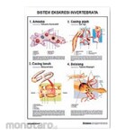 PUDAK SCIENTIFIC Carta/Poster Besar