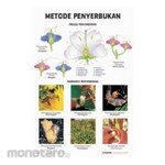 PUDAK SCIENTIFIC Carta/Poster Large (Bagan Edukasi Besar)