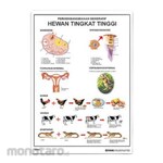 PUDAK SCIENTIFIC Display Tool Chart/Poster Large