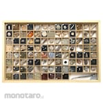 TOKYO SCIENCE Fossil Samples