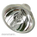 AS ONE Cold Light Option