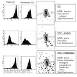 Merck Millipore Assay Kit MDR1 Efflux