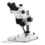 Euromex Microscope Trinocular Stereo Zoom