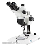 Euromex Stereo Microscopes