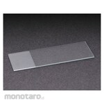 LAB SAFETY SUPPLY Microscope Slide and Storage