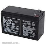 Master Flex Replacement Battery for Peristaltic Pumps