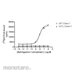 Merck Millipore Membrane Preparation Recombinant Human S1P1