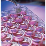 Merck Millipore Milli Cell Culture Insert 12mm