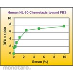 Merck Millipore QCM Chemotaxis Cell Migration Assay 96-well Fluorimetric