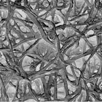 Merck Millipore Thick Absorbent Pad