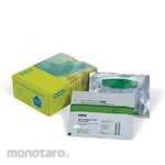BIORAD Mini Protean TGX Gel 8-16%