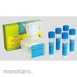 BIORAD PCR reagents
