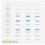 BIORAD Protein Standard