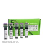 JENA BIOSCIENCE Gel Loading Buffer