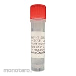 Santa Cruz Millipore EHMT1 Antibody (C-Terminus)