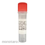 Santa Cruz Millipore RIPAb+ Anti-SNRNP70 RIP Validated Antibody and Primer