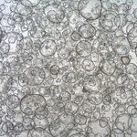 Sigma-Aldrich 3dGRO Colon Intestinal Organoids, Age 33 (Prep 88-C)