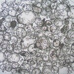 Sigma-Aldrich 3dGRO Colon Intestinal Organoids, Age 55 (Prep 89-C)