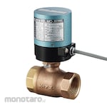 Ishiguro Small Electric Ball Valve