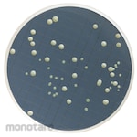 MERCK Millipore Yeast +Mold Dehydrated Media 1/4LB