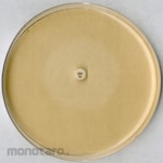 MERCK Test Agar pH 8.0 for The Inhibitor Test