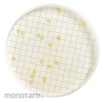 MERCK Millipore Tryptone Glucose Extract Broth (Dehydrated)
