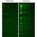 Merck Millipore GelGreen Nucleic Acid Stain 10000X