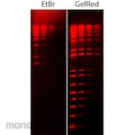 Merck Millipore GelRed Nucleic Acid Stain 10000X