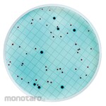 Merck Millipore M-Coliblue - Coliform Detection Medium