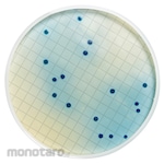 Merck Millipore m-FC Broth (Dehydrated) without Rosolic Acid