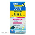 API Ph Meter